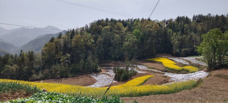 汉中竹隐山居民宿图片