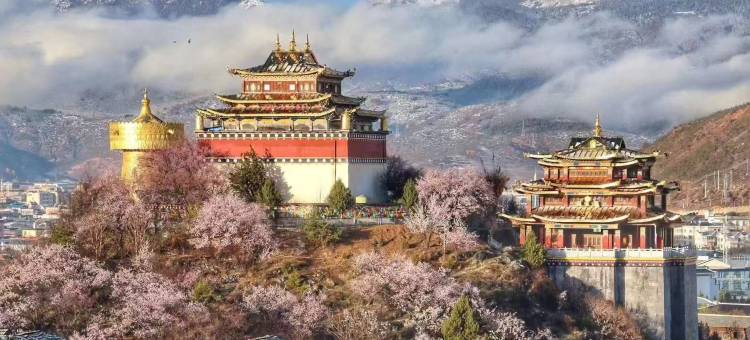 雲彩别院民宿(香格里拉独克宗古城店)图片