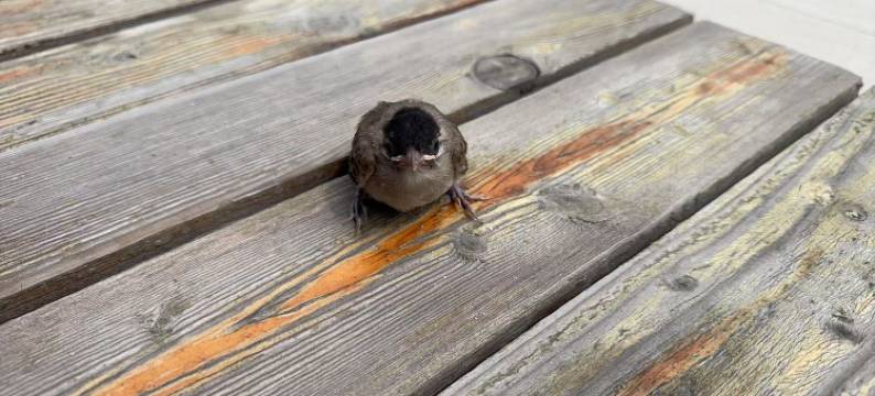 前海湾椰风海韵度假区民宿图片