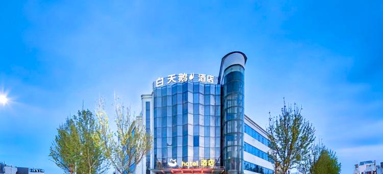 白天鹅酒店(卫辉市政府店)图片