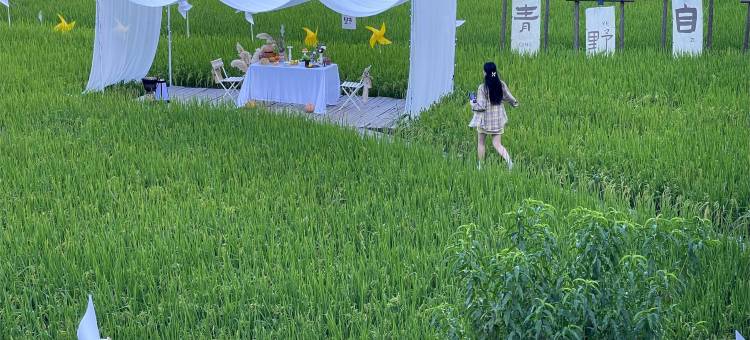 婺源·云上青野·Villa设计师美宿图片