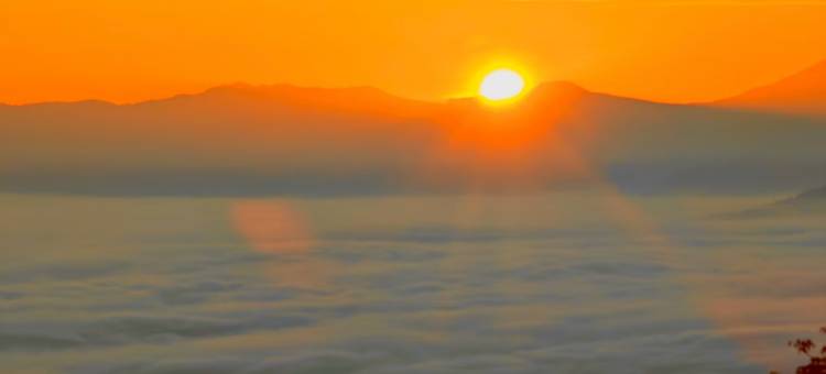 景迈山古茶林仙贡家院子观云海客栈图片