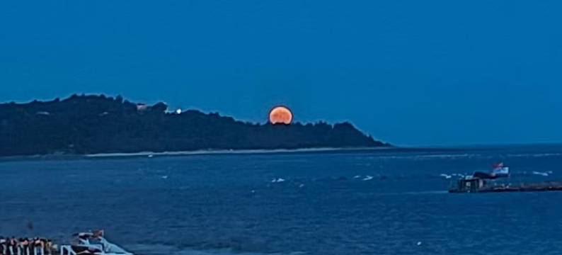 海畔逸墅民宿图片