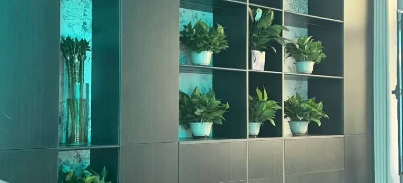 乐巢电竞酒店图片