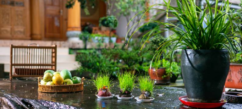 田园晓筑客栈(丽江三义机场店)图片