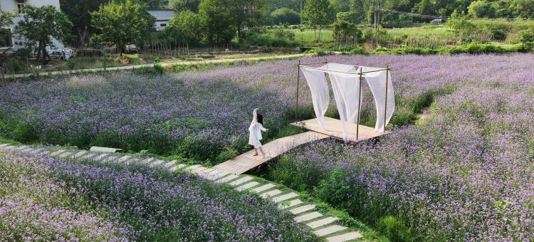 信阳杉居民宿图片