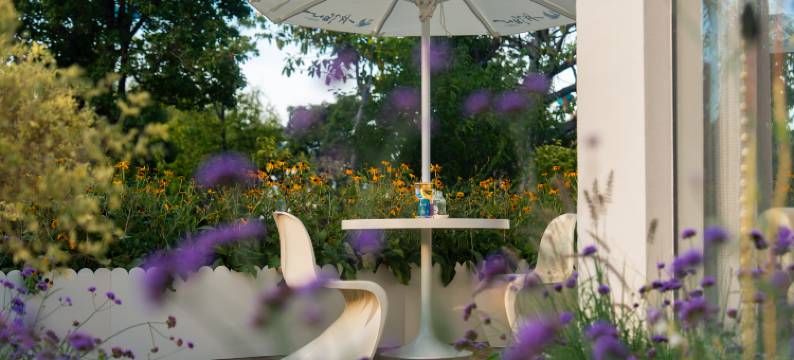 大理一月泊心海景民宿(洱海公园店)图片