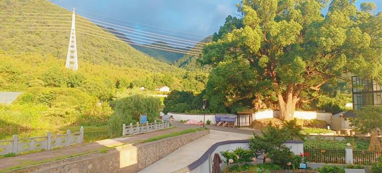 桐庐沐童小院民宿(大奇山国家森林公园店)图片