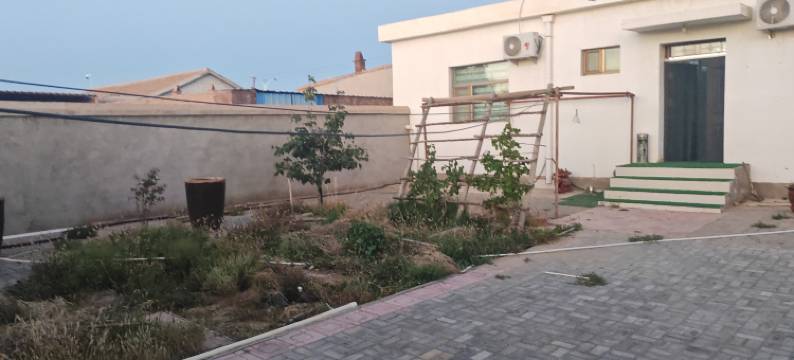 阿拉善右旗大漠人家兴旺民宿图片