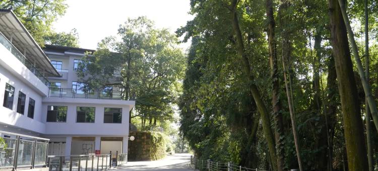 岽昇酒店图片