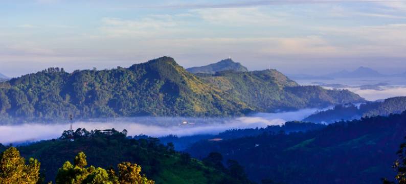 茶屋水疗度假村(Tea Cottage Resort & Spa)图片