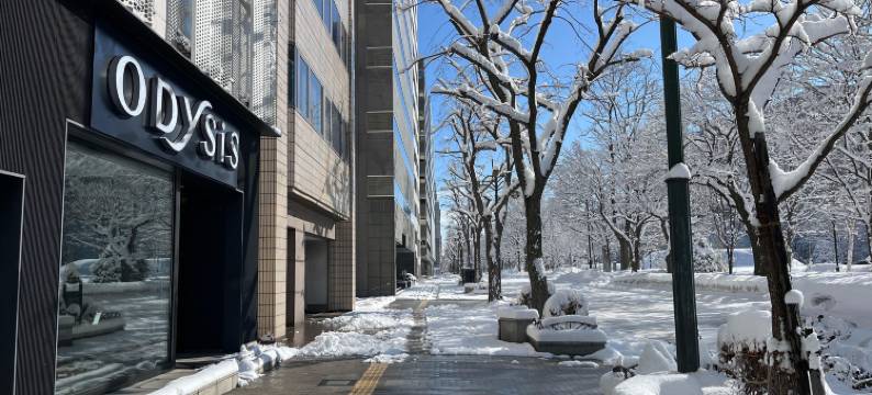 奥迪西斯札幌大通公园酒店(Odysis Sapporo Odori Koen Hotel)图片