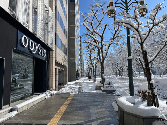奥迪西斯札幌大通公园酒店