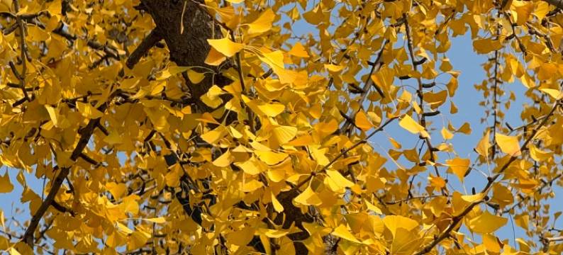 南京双门楼宾馆(盐仓桥地铁站阅江楼店)图片