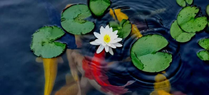 巨野万家大酒店图片