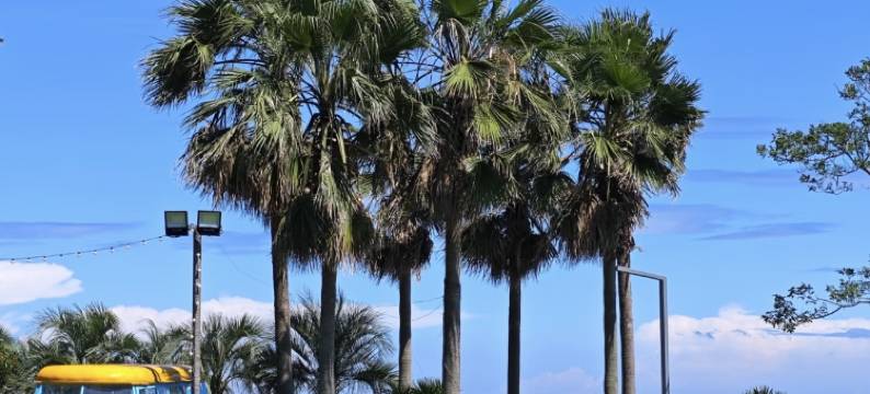 丽湾酒店(福州长乐国际机场店)图片