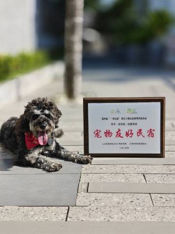 呆呆窝·轻奢美宿(三亚西岛店)图片