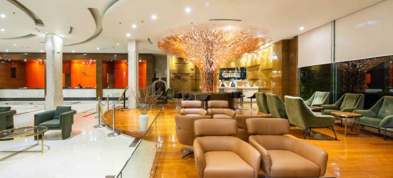 枫叶酒店(Maple Hotel)图片