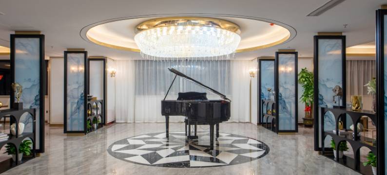 深圳罗湖口岸向西村地铁站希岸Deluxe酒店图片