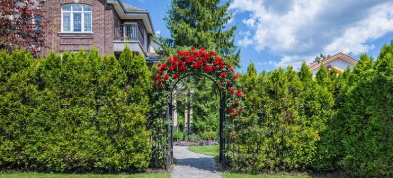 Vancouver Red House图片