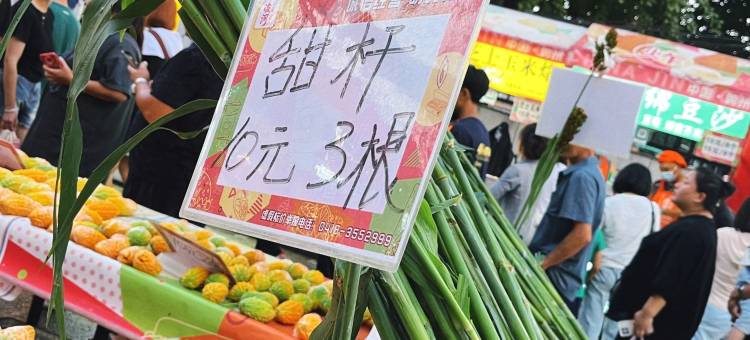 橘光邂逅民宿(锦州火车站凌河夜市店)图片