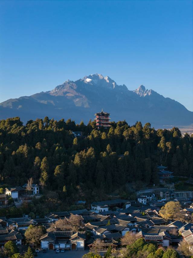 椿一Treene丨全景·设计师中古风度假庭院(丽江古城店)图片