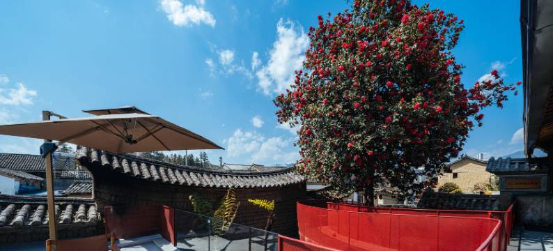 西董泽园·百年古宅图片