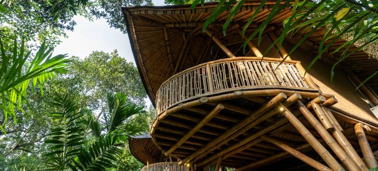 Bamboo Turtles Ecolodge图片