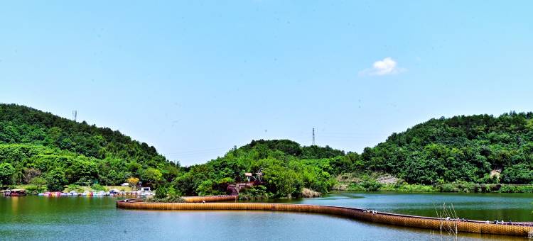 重庆龙轩大酒店图片