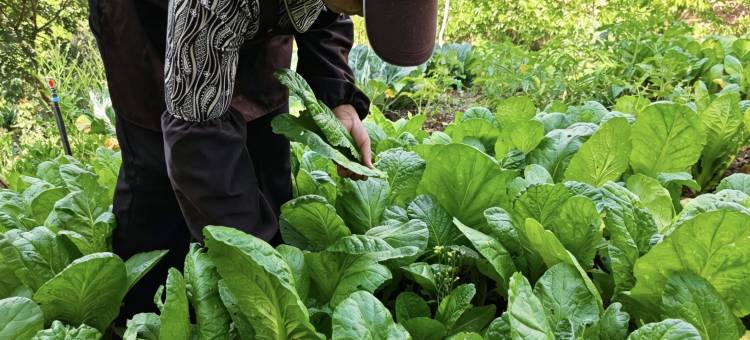 大理苍漾一号帐篷民宿图片
