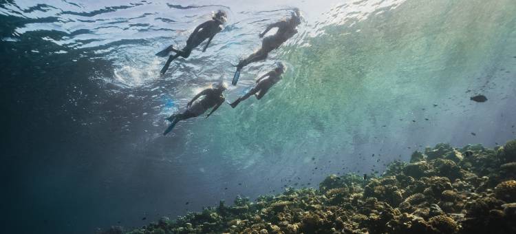 马尔代夫沃木里瑞吉度假酒店(The St. Regis Maldives Vommuli Resort)图片