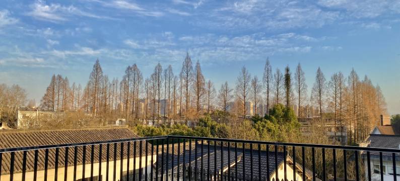 杭州西湖景区豆荚民宿(九溪店)图片