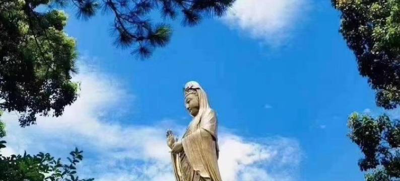 普陀山如意阁农家小院图片