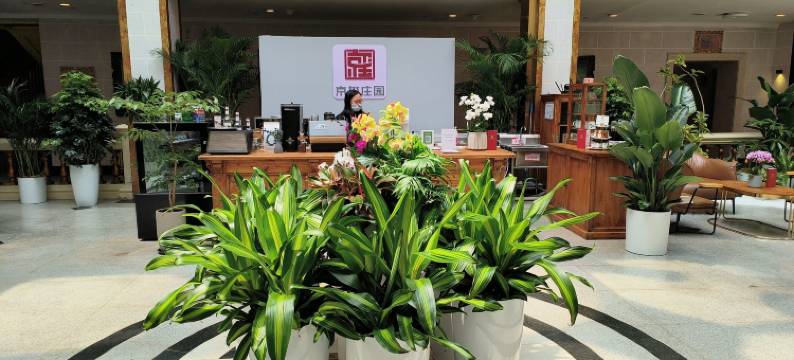 北京重庆饭店(国展中心西坝河地铁站店)图片