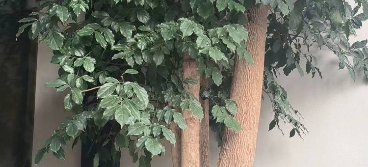 台州陌客酒店(台州体育中心店)图片