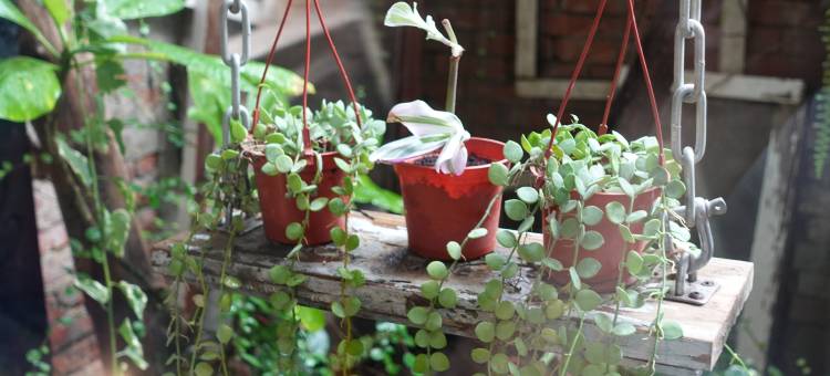 福憩背包客栈(台南和平馆)图片