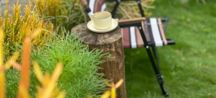 雀CHILL HOTEL(士登店)图片