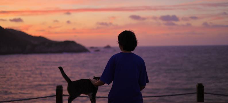 嵊泗花鸟岛伍码民宿图片
