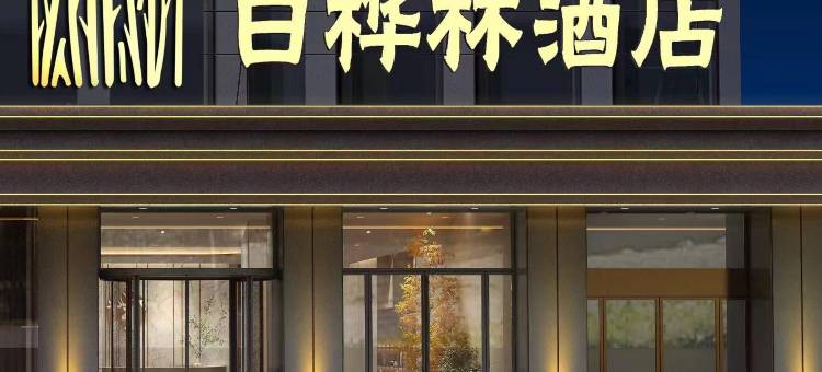 白桦林酒店(沈阳三好街盛京医院店)图片
