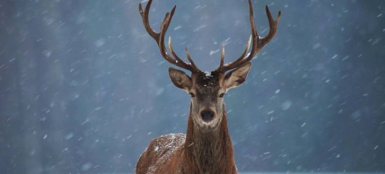 亚布力元茂屯民俗温泉度假村(亚布力滑雪旅游度假区店)图片