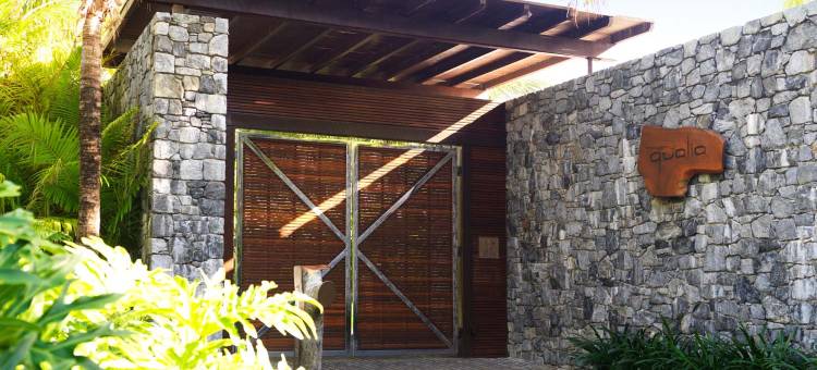 夸丽亚(Qualia)图片