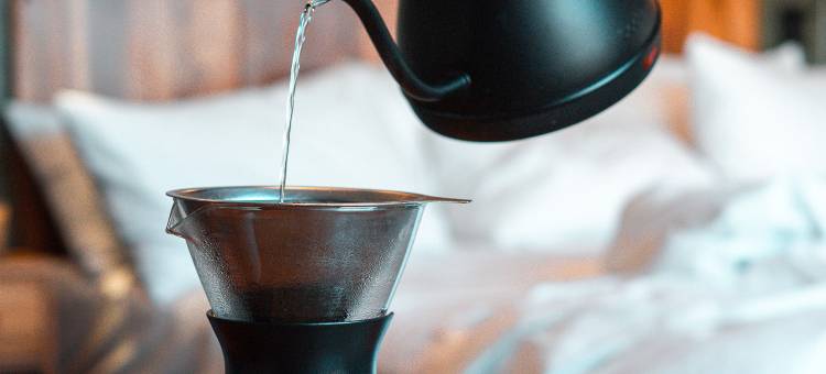 独木舟套房酒店(Hotel Canoe & Suites)图片