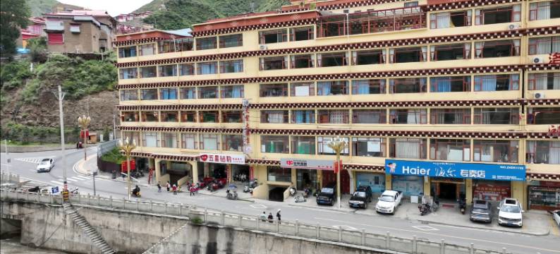 新龙天智大酒店图片