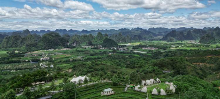 T三峰林茶谷野奢帐篷营地图片