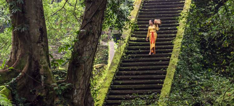 安缦黛宁(Amandari)图片