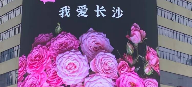 沐风民宿(长沙五一广场店)图片