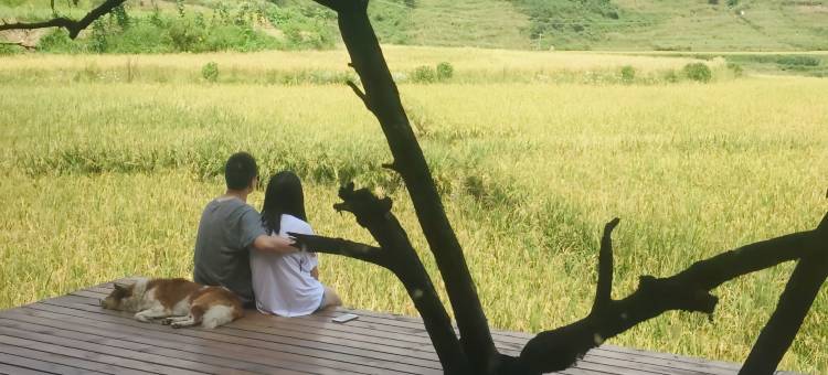 元阳梯田上精品民宿(多依树店)图片