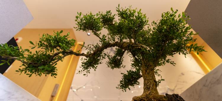 乌审旗勇琴酒店(图克人民政府客运站店)图片