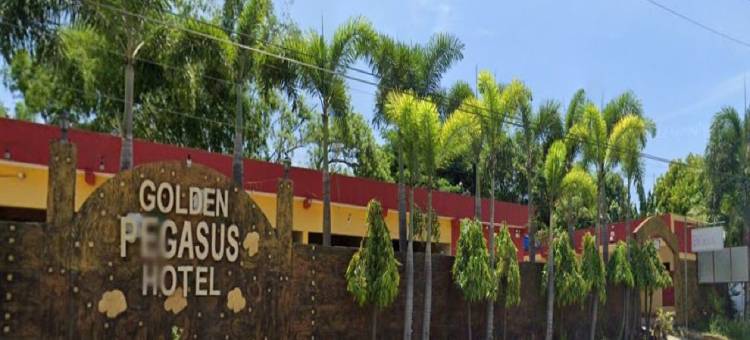 拉乌尼翁金飞马酒店(Golden Pegasus Hotel la Union by RedDoorz)图片