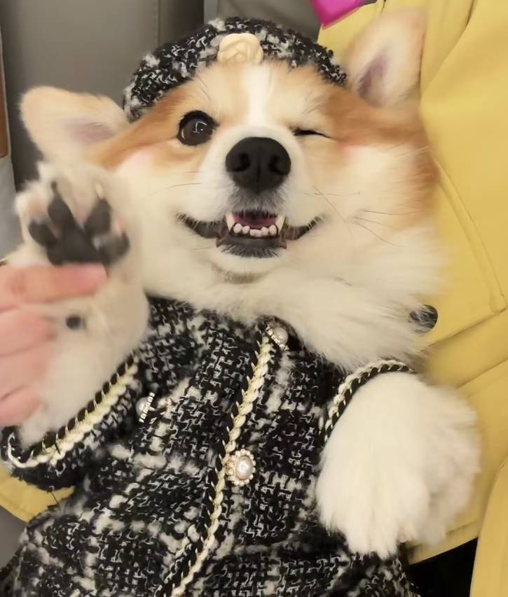 花筑·常清居 | Lake Fantasy 亲子度假·冲浪泳池美墅(千岛湖店)图片